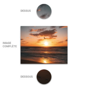 Tube - Inde - Modèle 1 - Mer - 2