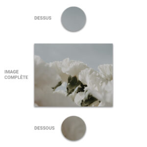 Tube - Inde - Modèle 12 - Fleurs - 2