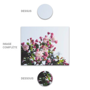 Tube - Inde - Modèle 14 - Fleurs roses - 2