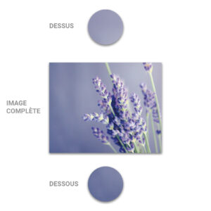 Tube - Inde - Modèle 15 - Lavandes - 2