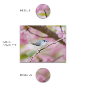 Tube - Inde - Modèle 18 - Oiseau - 2