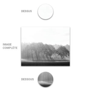 Tube - Inde - Modèle 19 - Arbres - 2