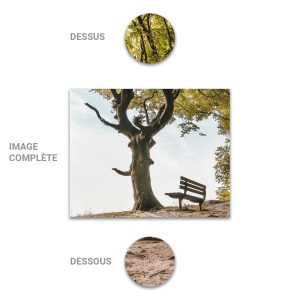 Tube - Inde - Modèle 21 - Arbre-Banc - 2