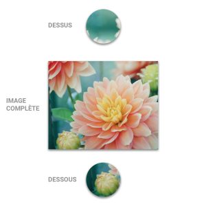 Tube - Inde - Modèle 22 - Dahlia - 2