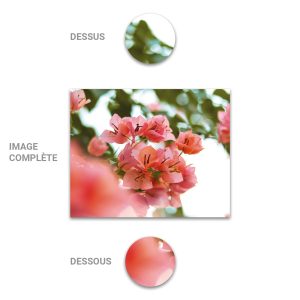 Tube - Inde - Modèle 23 - Fleur-Roses-Feuillage - 2