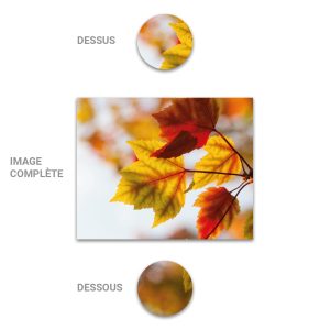 Tube - Inde - Modèle 29 - Automne-Feuilles - 2