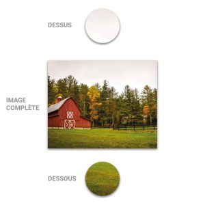 Tube - Inde - Modèle 36 - Campagne-Ferme - 2